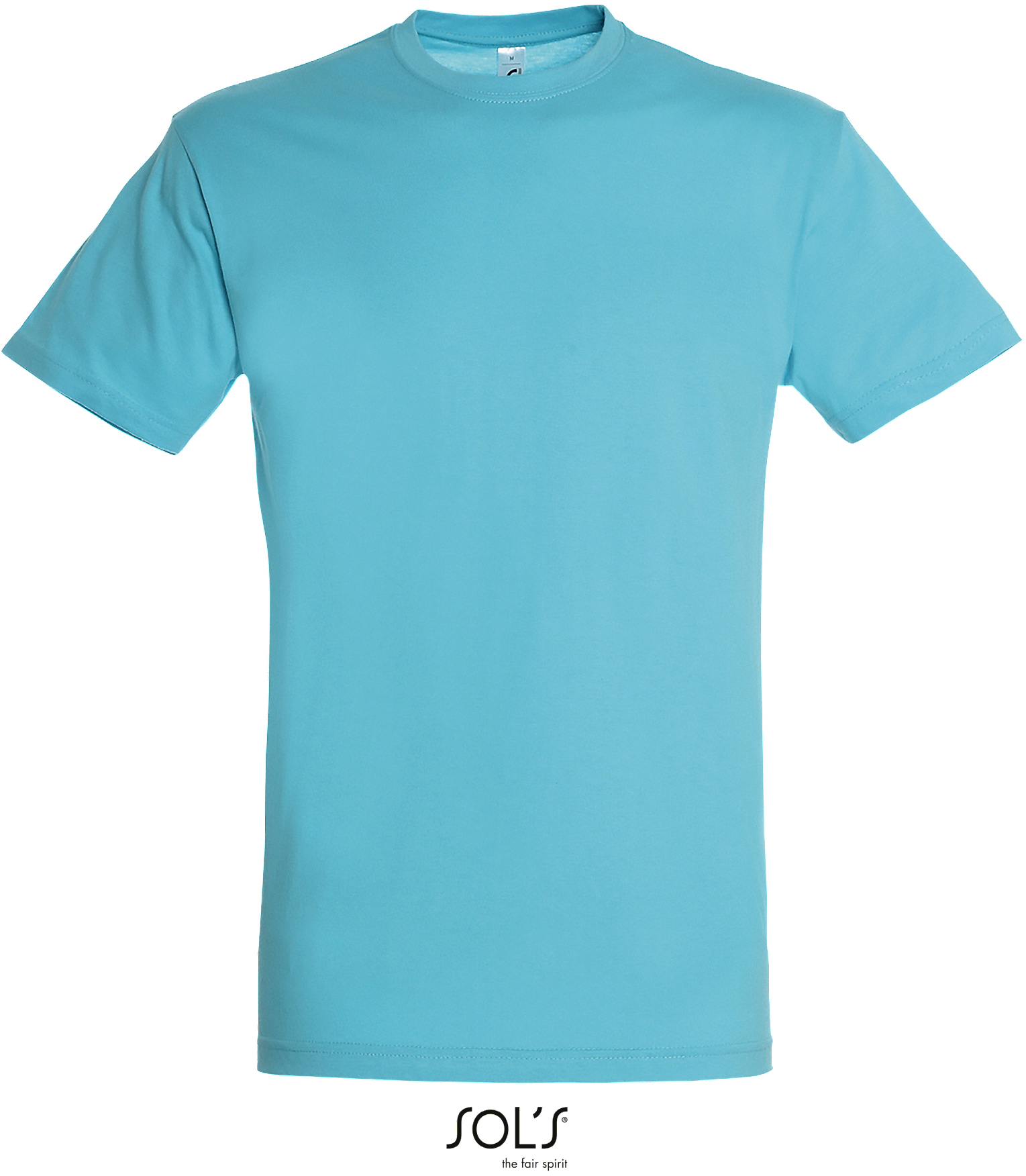 Basic Herren-T-Shirt "Regent"