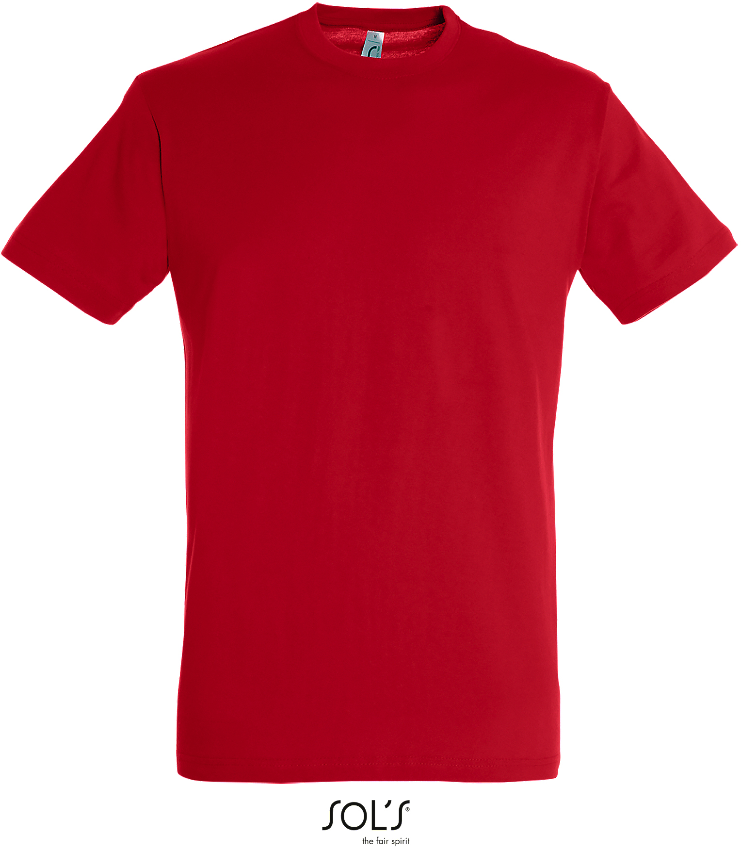 Basic Herren-T-Shirt "Regent"