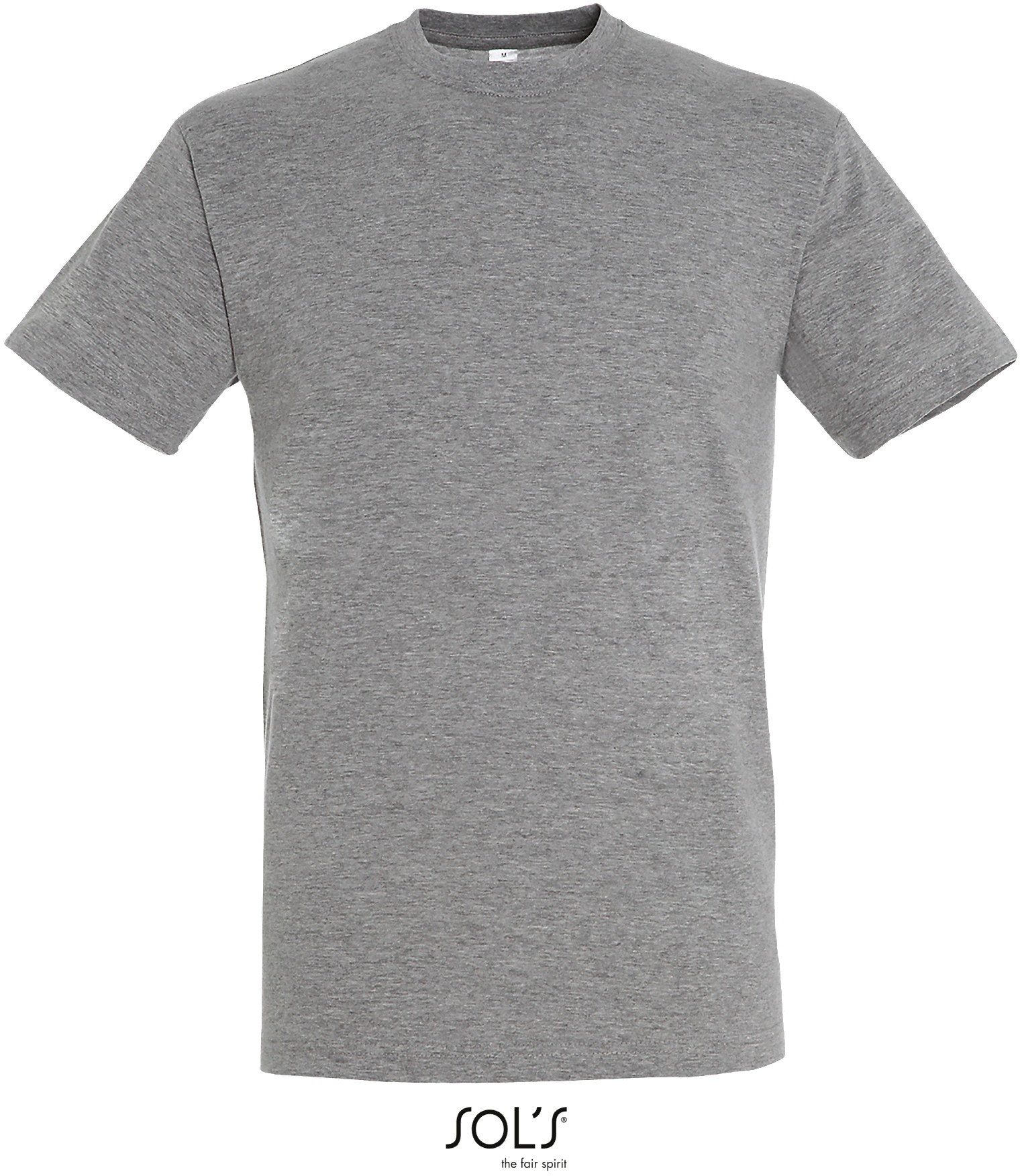 Basic Herren-T-Shirt "Regent"