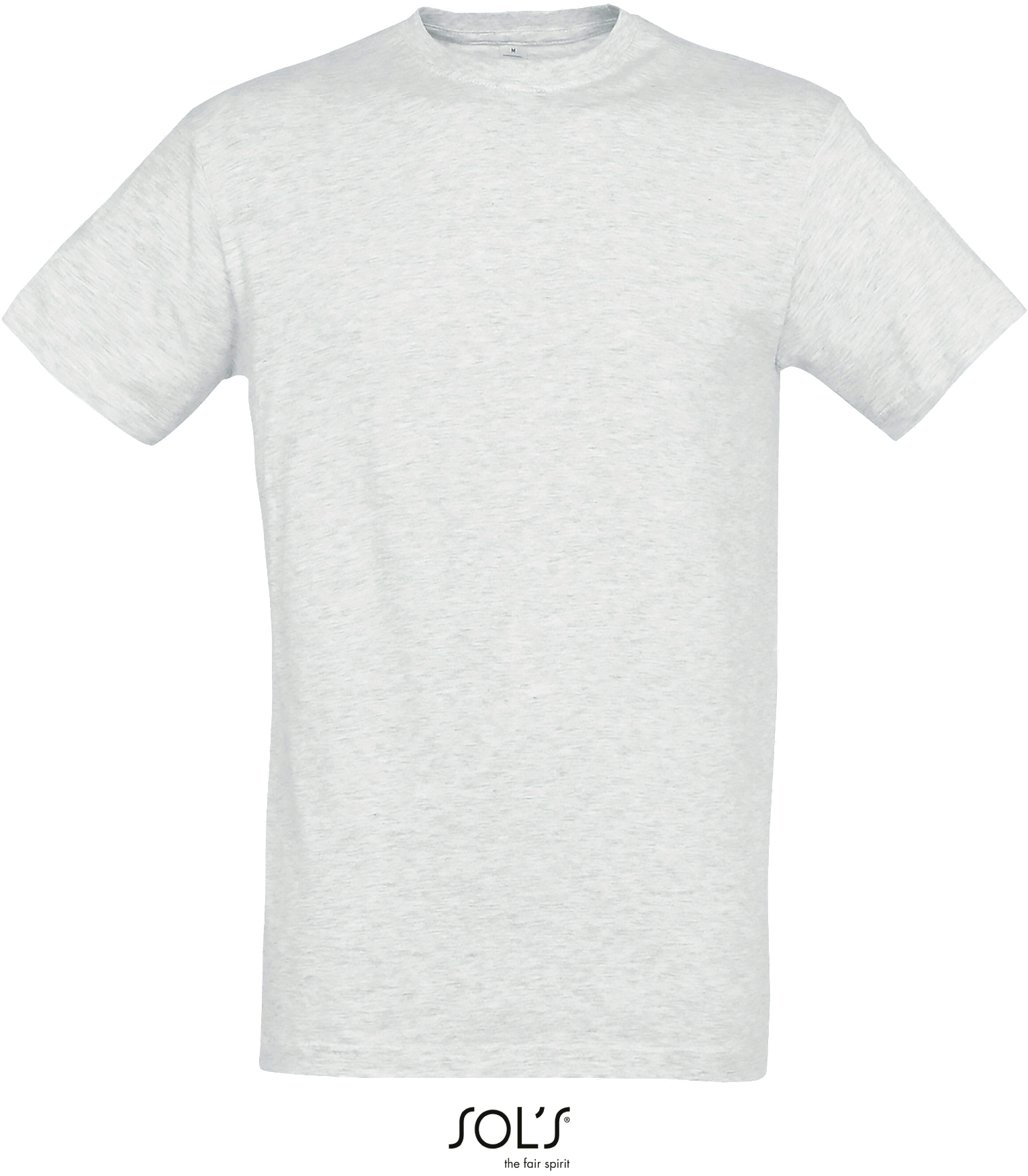 Basic Herren-T-Shirt "Regent"