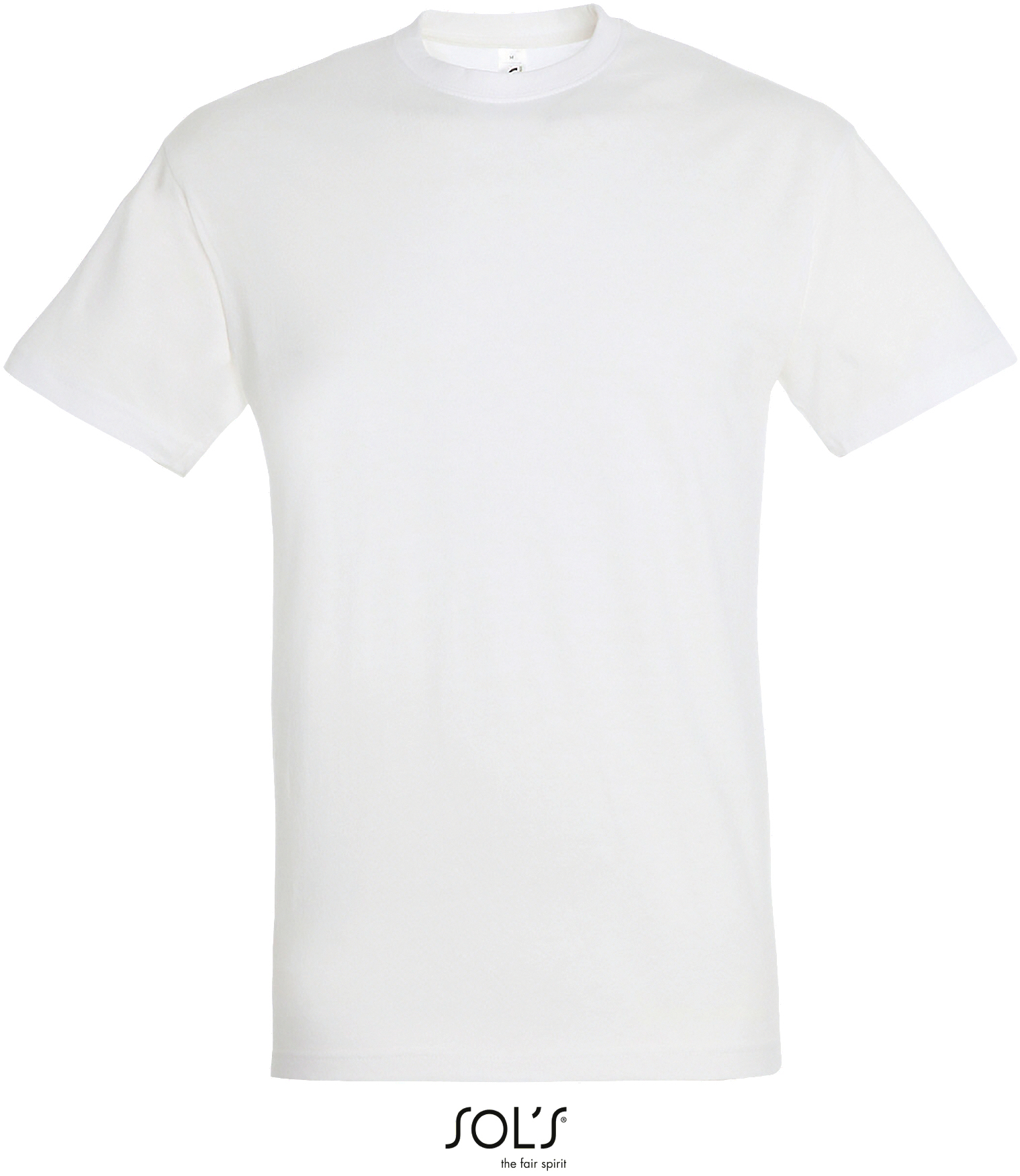 Basic Herren-T-Shirt "Regent"