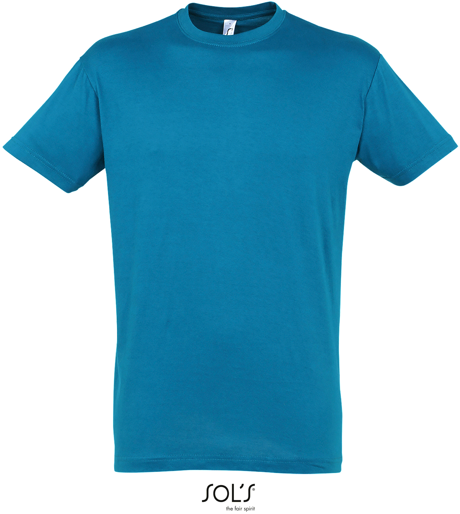 Basic Herren-T-Shirt "Regent"